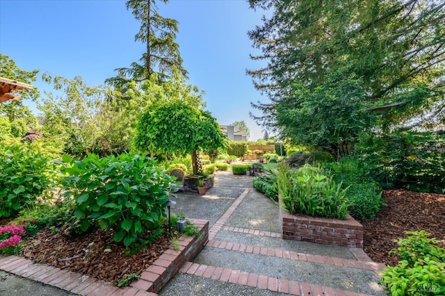 4078 Tokay Dr, Napa, CA 94558 - view of home's community
