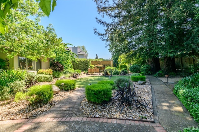 4078 Tokay Dr, Napa, CA 94558 - view of yard with fence