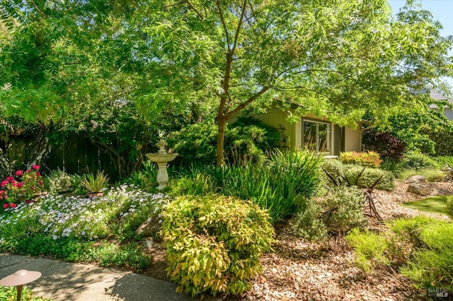 4078 Tokay Dr, Napa, CA 94558 - view of yard