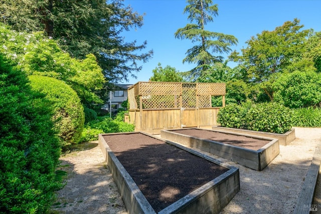 4078 Tokay Dr, Napa, CA 94558 - view of yard