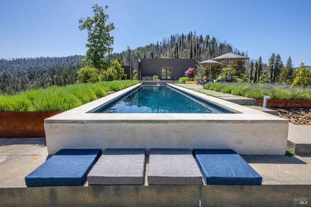8909 Mill Creek Rd, Healdsburg, CA 95448 - outdoor pool with a forest view and a patio