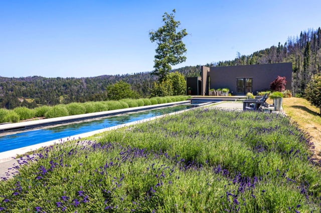 8909 Mill Creek Rd, Healdsburg, CA 95448 - outdoor pool with a wooded view