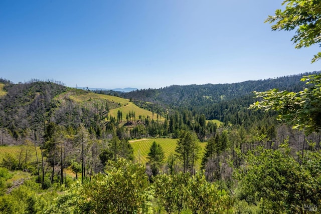 8909 Mill Creek Rd, Healdsburg, CA 95448 - mountain view featuring a forest