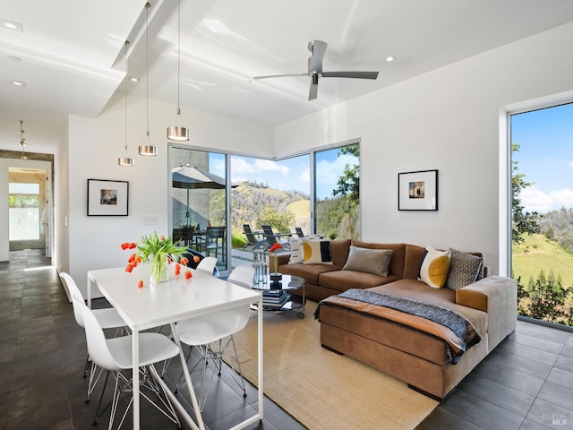 8909 Mill Creek Rd, Healdsburg, CA 95448 - living area featuring healthy amount of natural light, ceiling fan, and recessed lighting