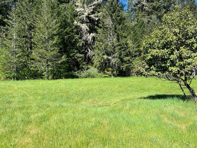 25269 Madrone Dr, Willits, CA 95490