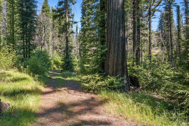 9440 Mill Creek Rd, Healdsburg, CA 95448