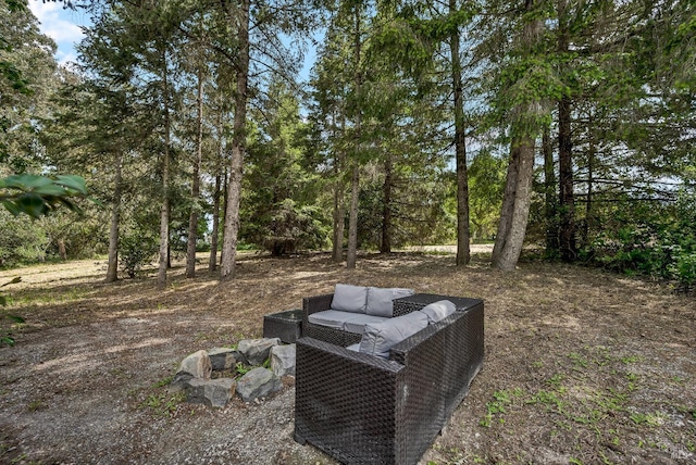 1466 Cooper Rd, Sebastopol, CA 95472 - view of yard