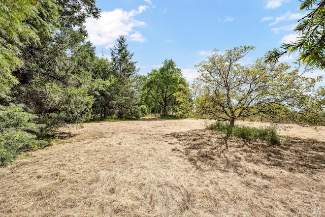 1466 Cooper Rd, Sebastopol, CA 95472 - view of local wilderness
