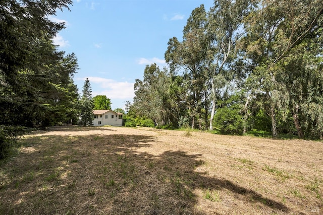 1466 Cooper Rd, Sebastopol, CA 95472 - view of yard