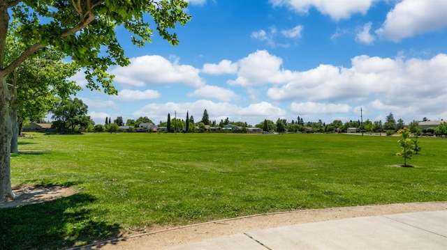 3 Clemson Ct, Woodland, CA 95695 - view of grassy yard
