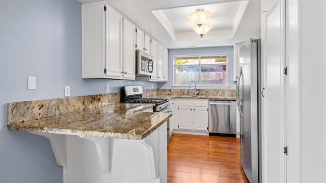 3 Clemson Ct, Woodland, CA 95695 - kitchen with appliances with stainless steel finishes, a tray ceiling, a sink, a peninsula, and white cabinetry