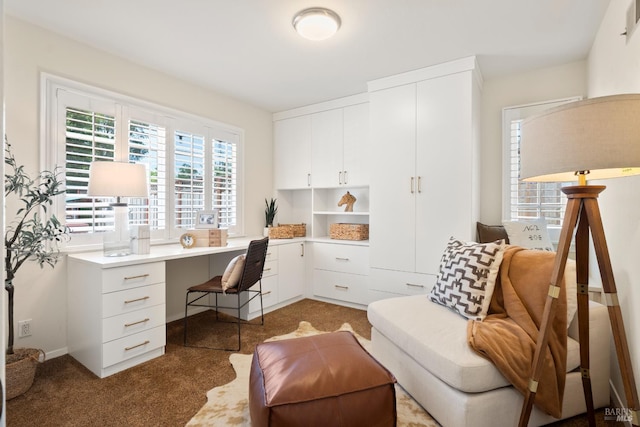 6 Tyler St, Novato, CA 94947 - office space featuring built in study area and light colored carpet