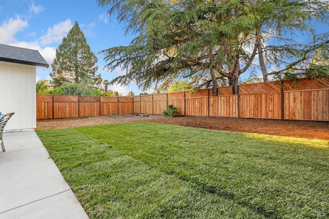 8017 Washington Ave, Sebastopol, CA 95472 - view of yard