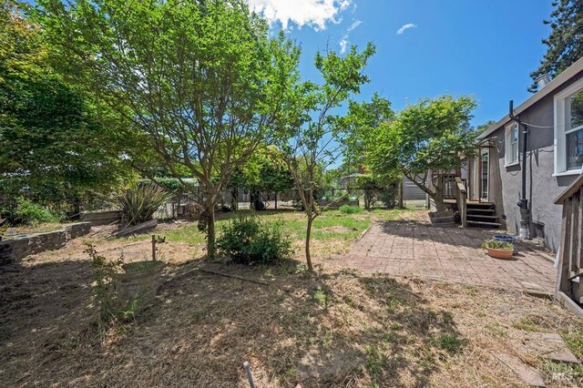 2951 Thorn Rd, Sebastopol, CA 95472 - view of yard featuring a patio