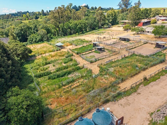 2951 Thorn Rd, Sebastopol, CA 95472 - view of rural area