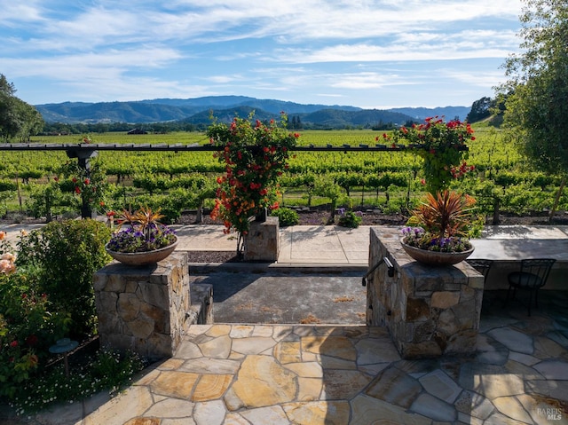7035 Silverado Trl, Napa, CA 94558 - view of mountain backdrop featuring extensive farmland and rural landscape