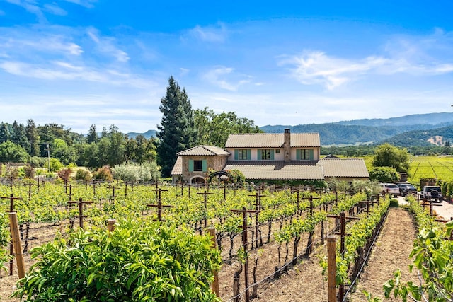 7035 Silverado Trl, Napa, CA 94558 - view of front of house with a vegetable garden, a tiled roof, a mountain view, a chimney, and stucco siding