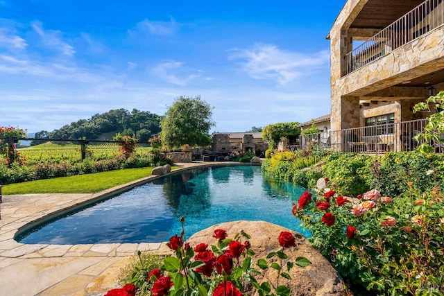 7035 Silverado Trl, Napa, CA 94558 - view of swimming pool