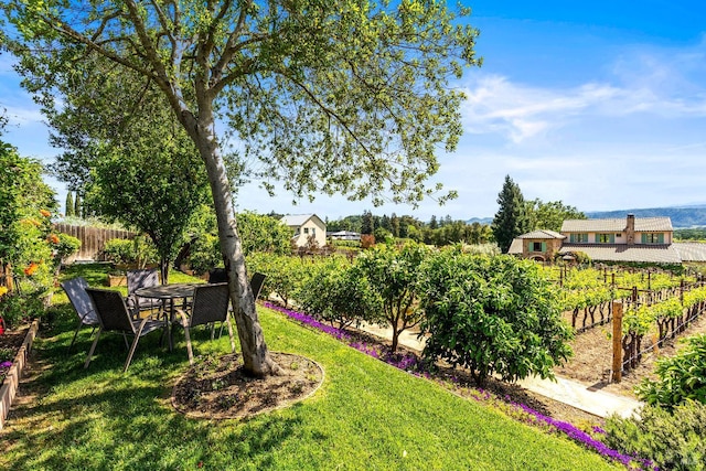 7035 Silverado Trl, Napa, CA 94558 - view of yard