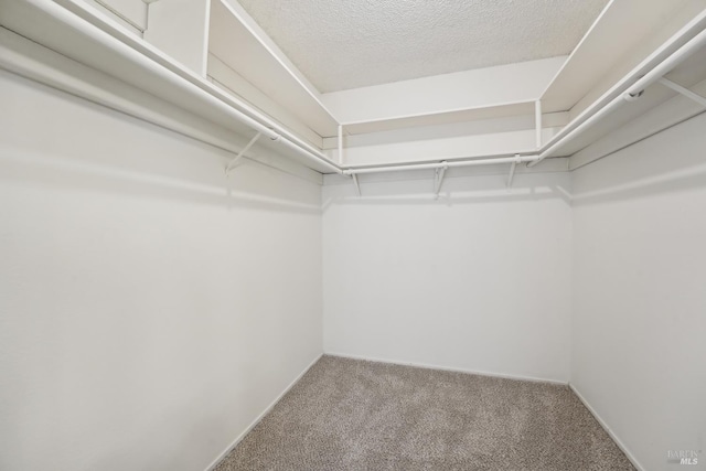 543 Sandy Way, Benicia, CA 94510 - spacious closet with carpet floors