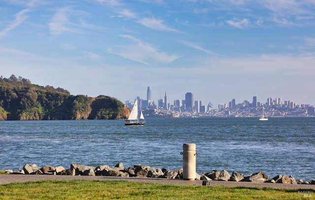 1910 Mar W St, Tiburon, CA 94920 - water view featuring skyline