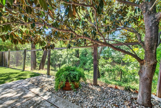 970 El Camino Ave Unit 3, Vacaville, CA 95688 - view of yard featuring a patio area