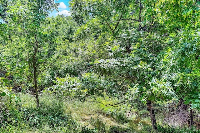970 El Camino Ave Unit 3, Vacaville, CA 95688 - view of wooded area