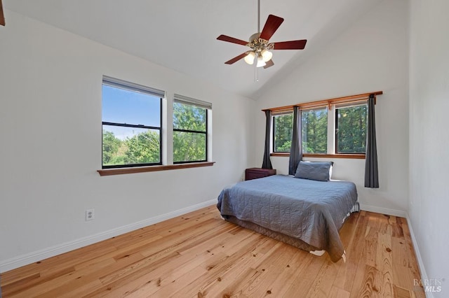 7293 Occidental Rd, Sebastopol, CA 95472 - bedroom featuring multiple windows, light wood-style flooring, baseboards, and high vaulted ceiling