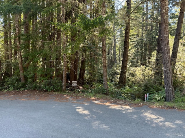 369 Big Tree Close Rd Unit 27A13, The Sea Ranch, CA 95497