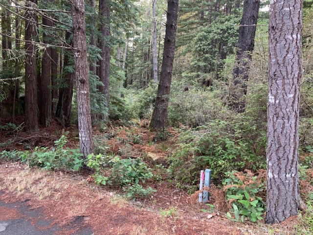 369 Big Tree Close Rd Unit 27A13, The Sea Ranch, CA 95497