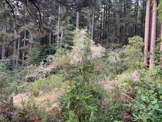 369 Big Tree Close Rd Unit 27A13, The Sea Ranch, CA 95497