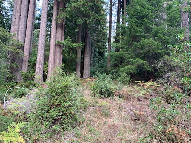 369 Big Tree Close Rd Unit 27A13, The Sea Ranch, CA 95497