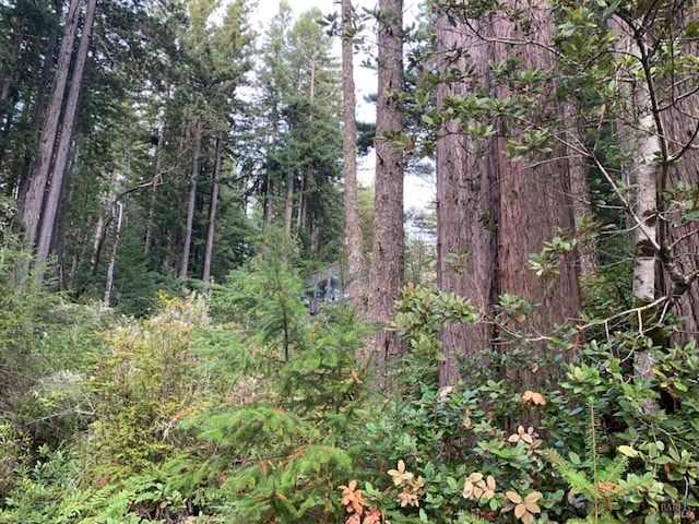 369 Big Tree Close Rd Unit 27A13, The Sea Ranch, CA 95497