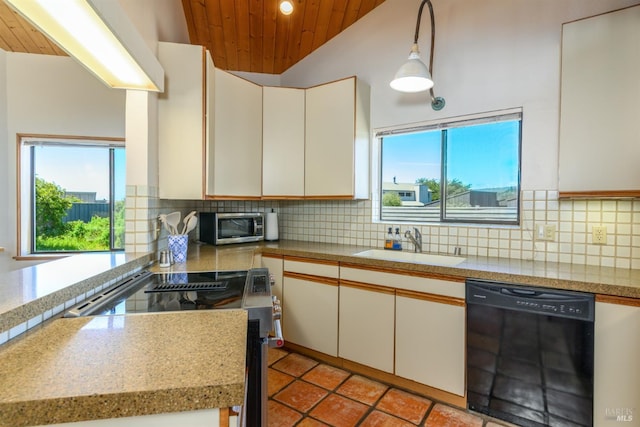 41923 Mizzen Mast, The Sea Ranch, CA 95497 - kitchen with appliances with stainless steel finishes, lofted ceiling, a sink, wood ceiling, and light countertops