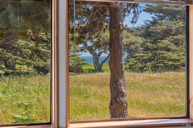 41923 Mizzen Mast, The Sea Ranch, CA 95497 - detailed view of a water view