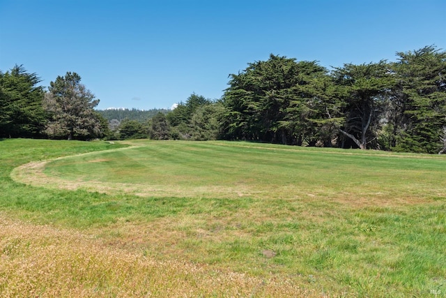 41923 Mizzen Mast, The Sea Ranch, CA 95497 - view of green lawn
