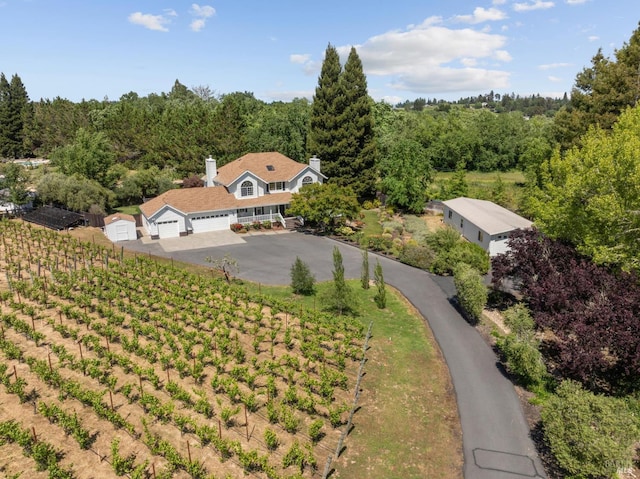9724 Green Valley Rd, Sebastopol, CA 95472 - view of subject property featuring a heavily wooded area