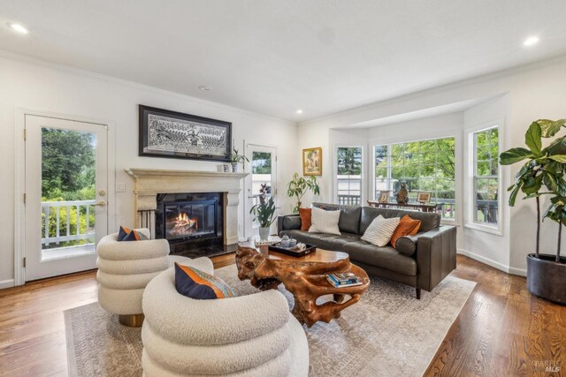 9724 Green Valley Rd, Sebastopol, CA 95472 - living area with a glass covered fireplace, ornamental molding, wood finished floors, baseboards, and recessed lighting