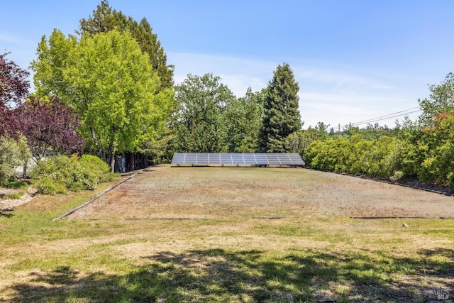 9724 Green Valley Rd, Sebastopol, CA 95472 - view of yard