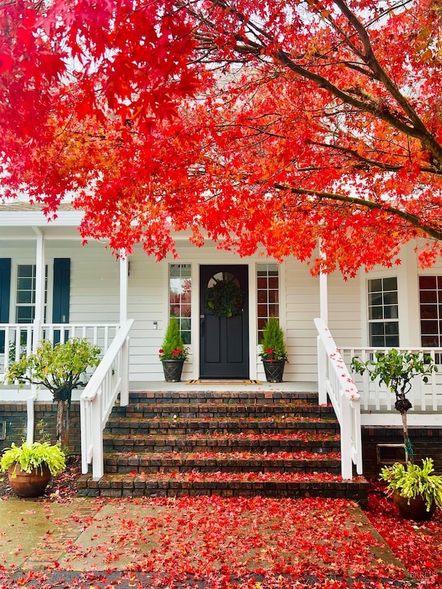 9724 Green Valley Rd, Sebastopol, CA 95472 - property entrance featuring covered porch