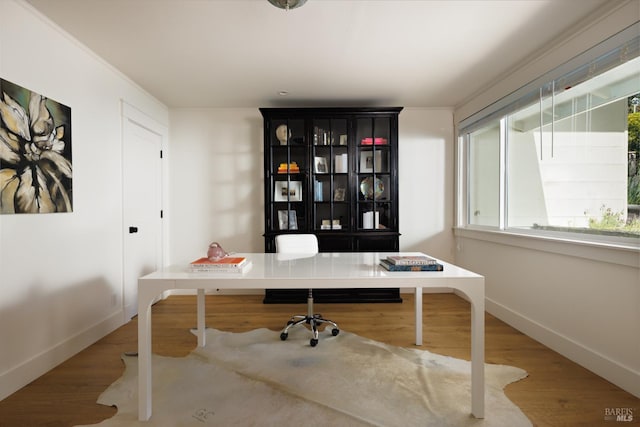 office space with baseboards and wood finished floors