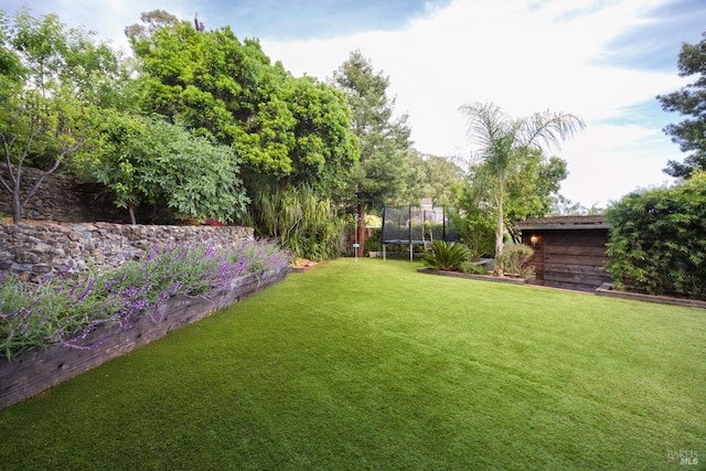 view of grassy yard with a trampoline