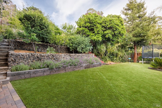 view of yard featuring a trampoline