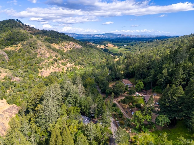 4512 Dry Creek Rd, Napa, CA 94558 - aerial view of property and surrounding area with a forest and a mountain backdrop