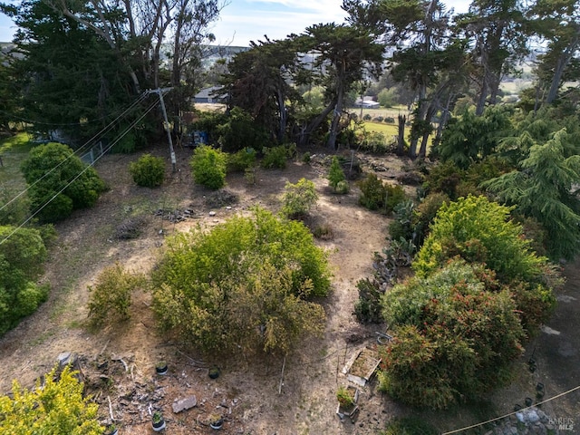 4335 Bodega Ave, Petaluma, CA 95942 - view of undeveloped land