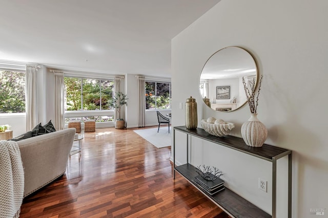 600 Deer Valley Rd Unit 1E, San Rafael, CA 94903 - hall featuring wood finished floors
