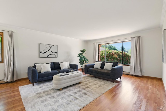 4620 Morris Ct, Santa Rosa, CA 95405 - living area with crown molding, light wood-style floors, and baseboards