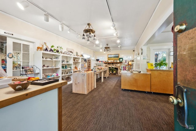 4100 Petrified Forest Rd, Santa Rosa, CA 94515 - kitchen featuring dark colored carpet, rail lighting, and open floor plan