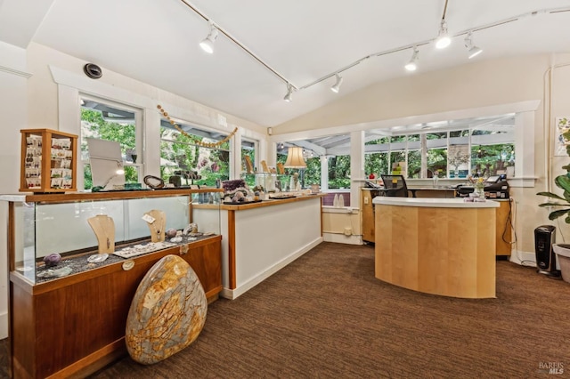 4100 Petrified Forest Rd, Santa Rosa, CA 94515 - miscellaneous room featuring rail lighting, plenty of natural light, lofted ceiling, and dark carpet