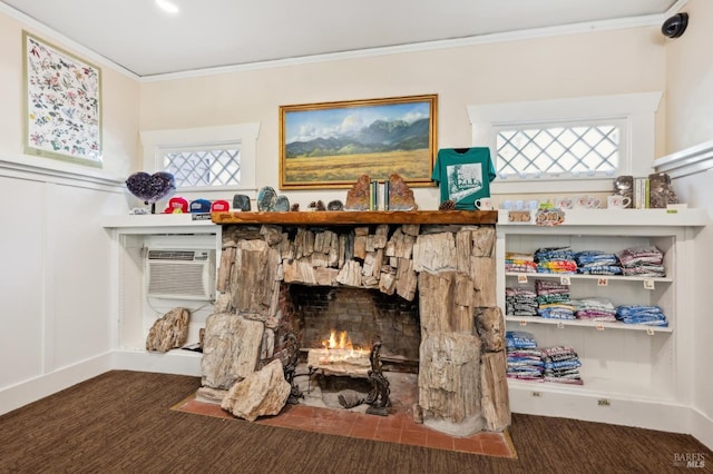 4100 Petrified Forest Rd, Santa Rosa, CA 94515 - detailed view of ornamental molding and a fireplace